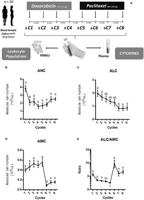 Peripheral Blood Classical Monocytes and Plasma Interleukin 10 Are Associated to Neoadjuvant Chemotherapy Response in Breast Cancer Patients